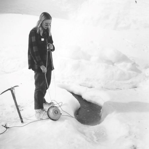 Save the Whales Songs