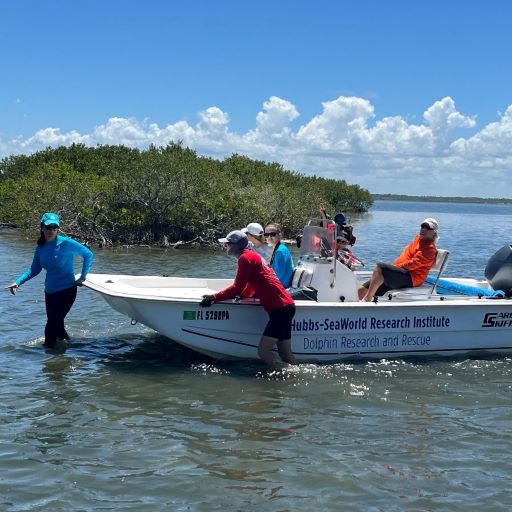 Covering Florida’s Coastline