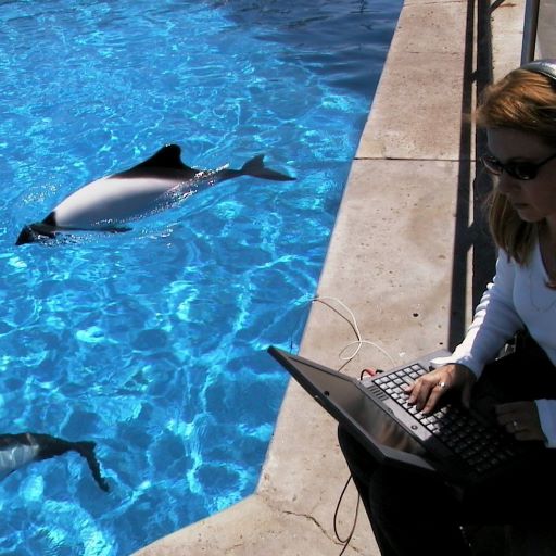 Can a Ping Prevent Entanglement?