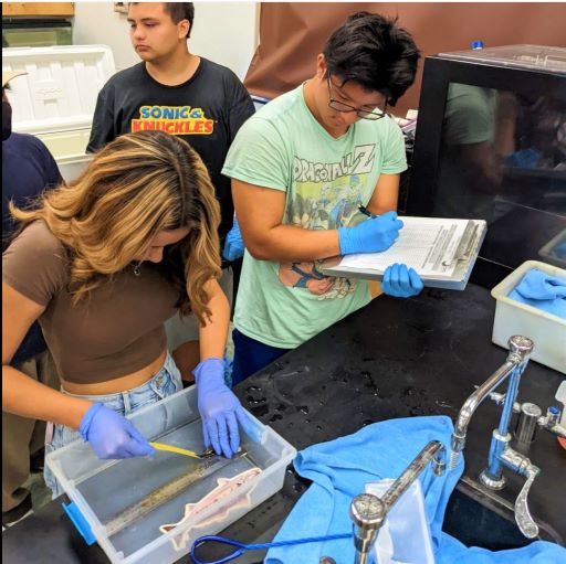 Inspiring The Next Generation