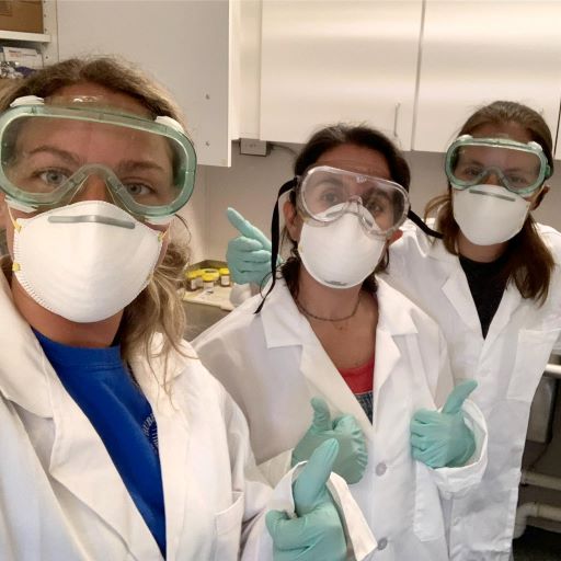 COVID’s Effect on Field Work