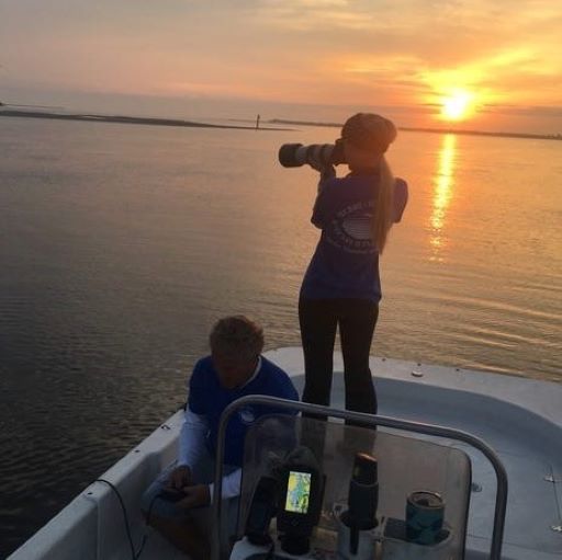 Dolphin Families Stick Together