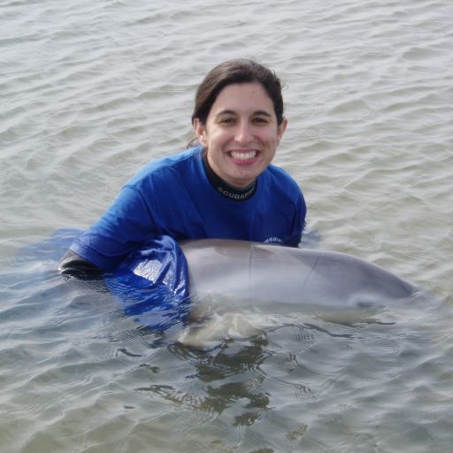 The Tail Behind “Dolphin Tale”