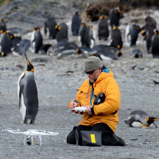Pioneers in Penguin Observation
